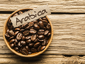 brazilian arabica coffee
